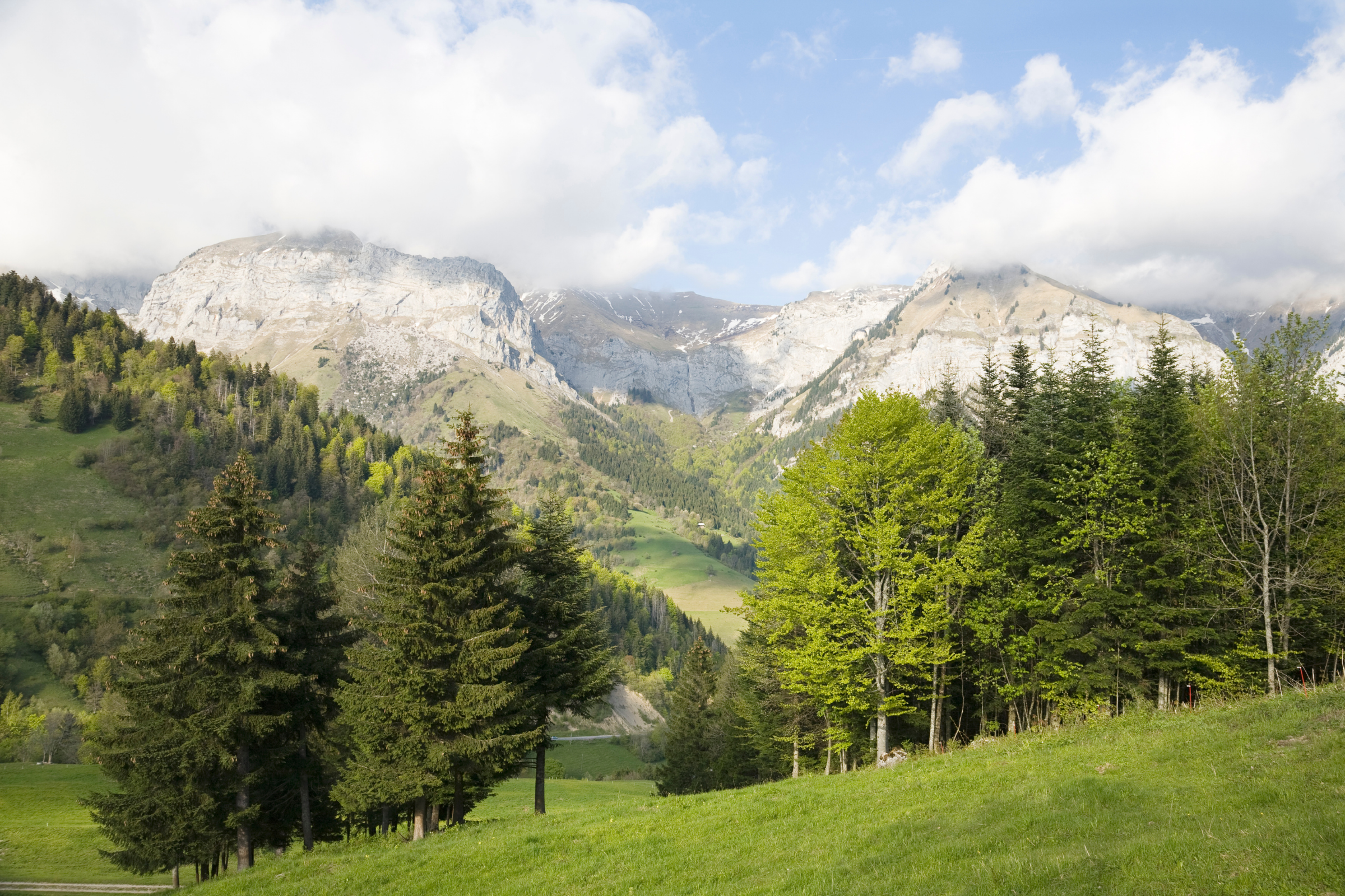 Col_de_la_Forclaz[1].webp